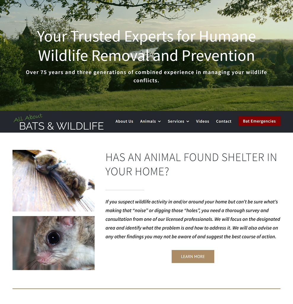 Waterbury Wildlife Control