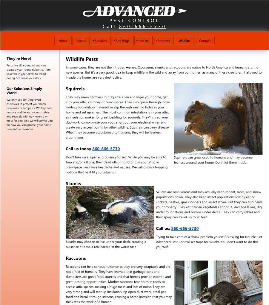 Waterbury Wildlife Control