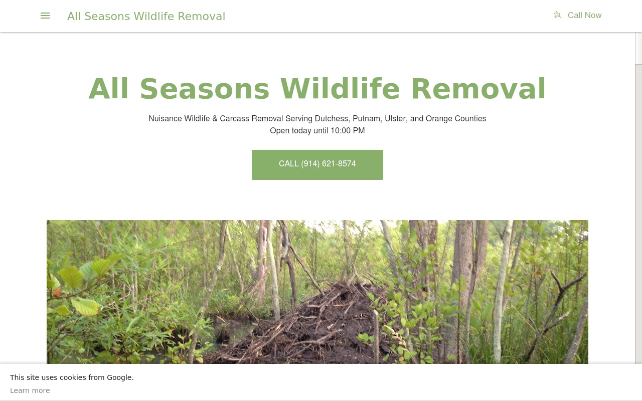Waterbury Wildlife Control