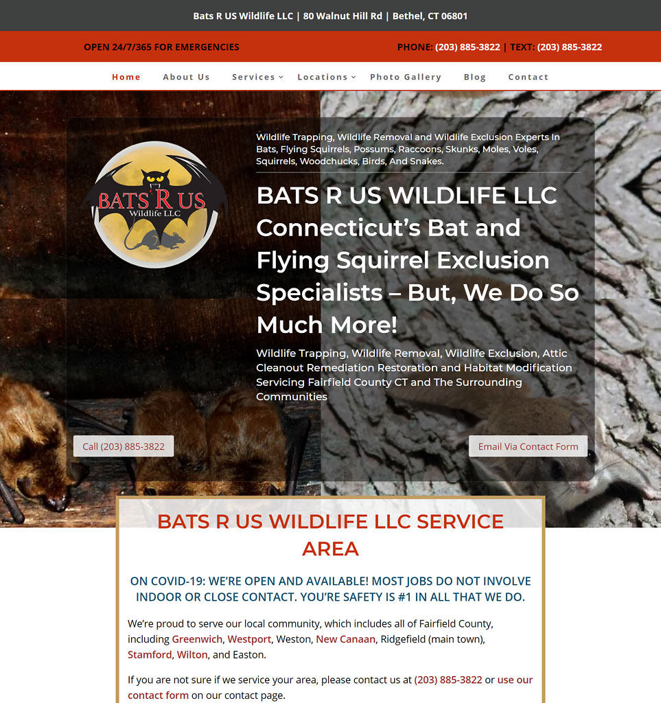 Waterbury Wildlife Control