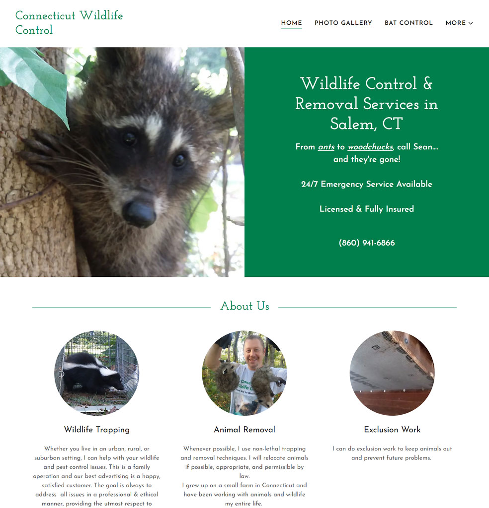 Hartford Wildlife Control