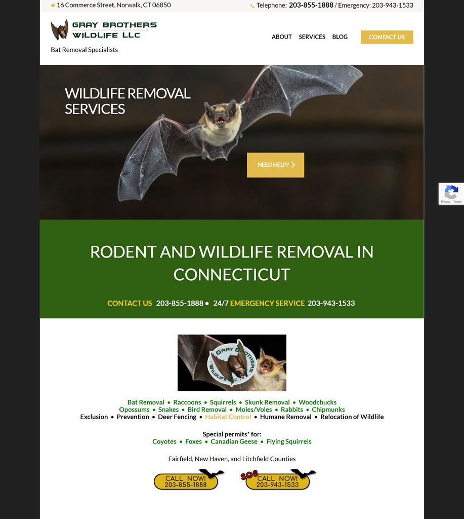 Hartford Wildlife Control