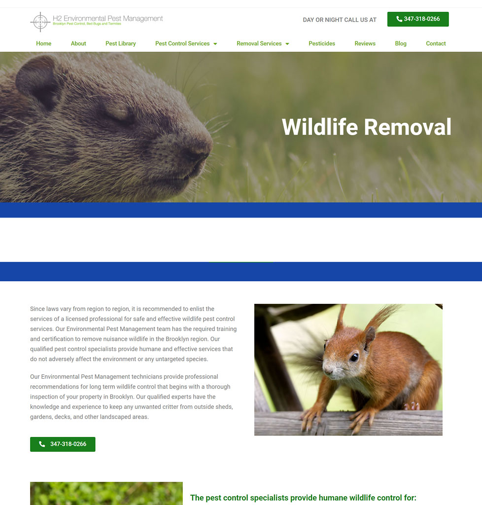 Bridgeport Wildlife Control