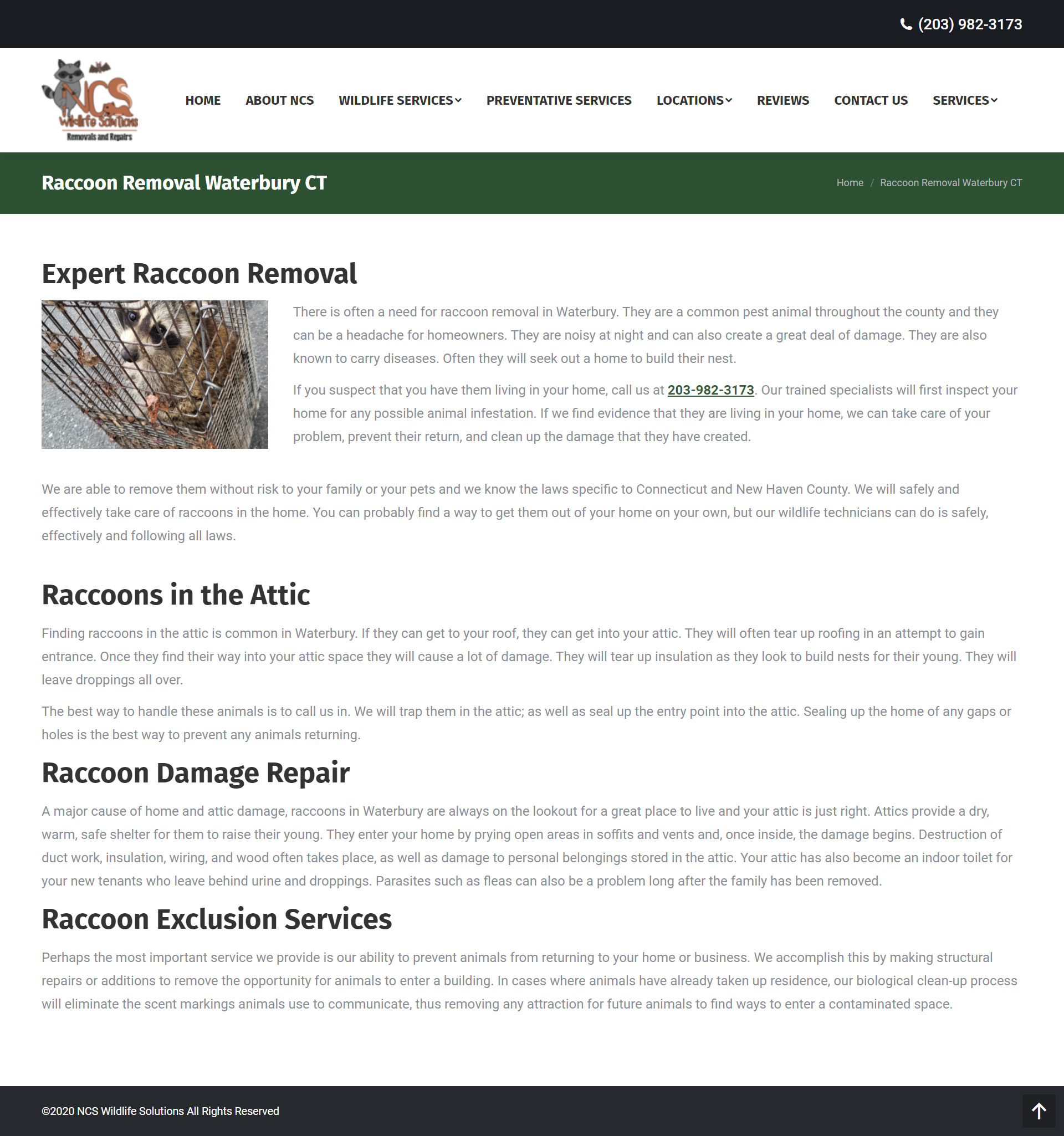 Waterbury Wildlife Control