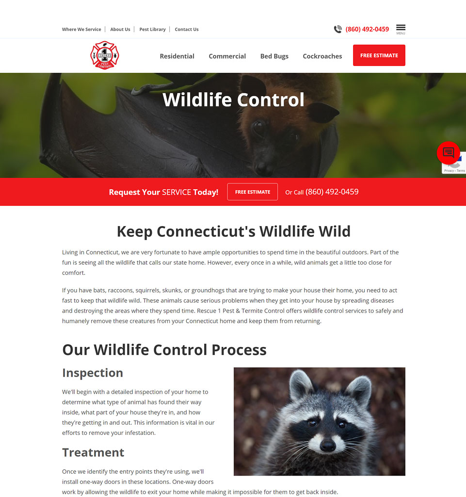 Bridgeport Wildlife Control