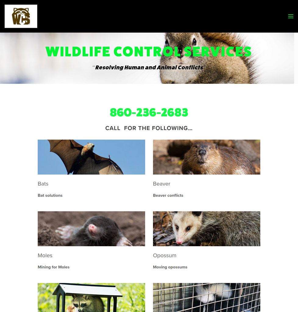 Hartford Wildlife Control