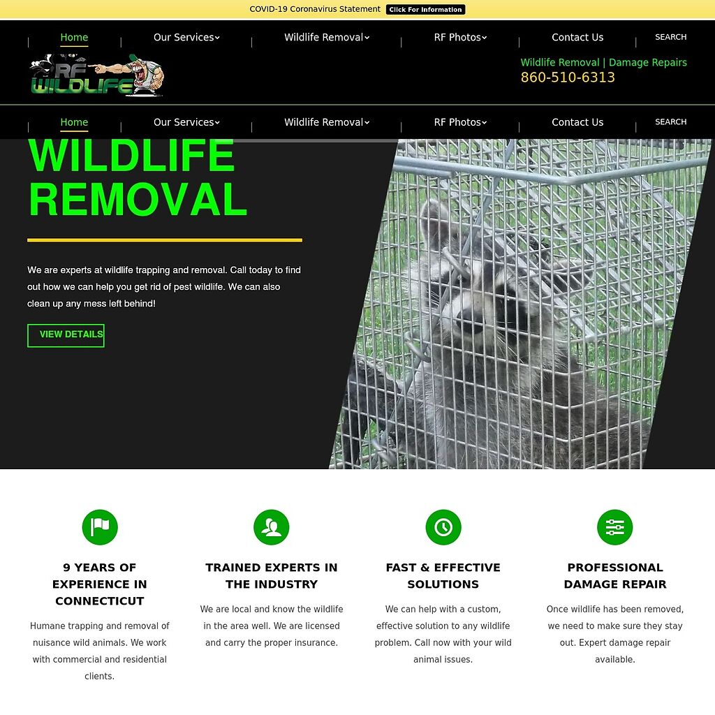 Waterbury Wildlife Control