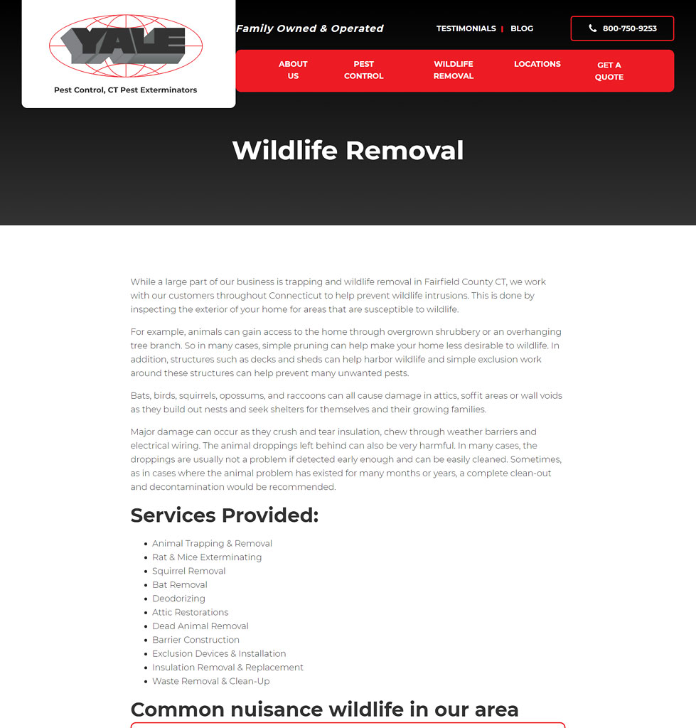 Bridgeport Wildlife Control